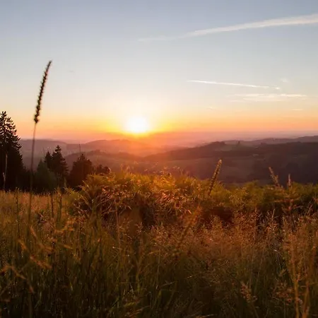 Haubers Naturresort 4* Oberstaufen